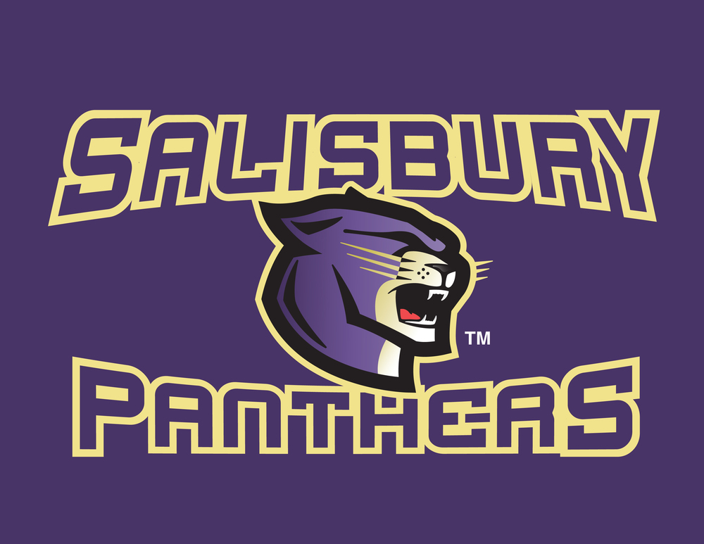 Salisbury Panther Gear