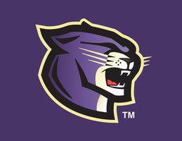 Salisbury Lady Panther Softball Team Advances to State Tournament