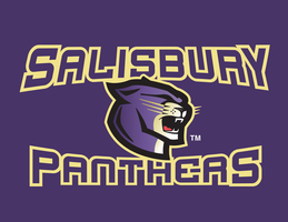 Salisbury to Host High School Basketball Invitational